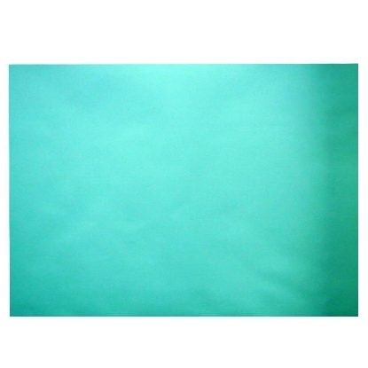 Picture of Paris Paper Sheet 150 gm Pale Green 70 x 100 cm