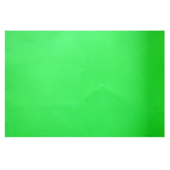 Picture of Paris Drawing Paper sheet 100 x 70 cm 220 gm light green