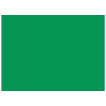 Show details for Green Paper sheet 150 gm 50x70 cm - Folia Picture of Green Paper sheet 150 gm 50x70 cm - Folia