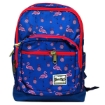 Picture of School Bag Caral High NO:14166