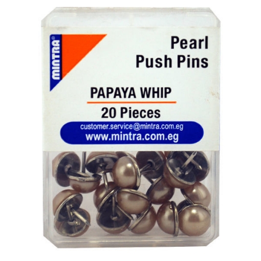 Picture of Mintra Office Pins Plastic Box -Pearl Light Brown - 20 Pins Model 95662