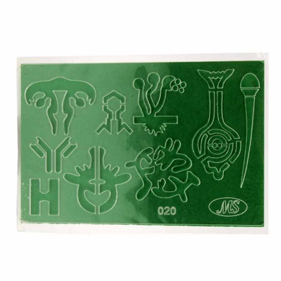 Picture of اسطمبة أحياء - 020