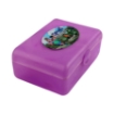 Picture of Small Plastic Lunch Box - Star