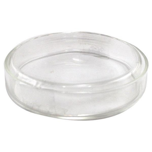 Picture of Petri dishes shower 9 cm