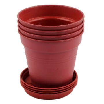 Agrandir l'image de Pack de 4 Plantes Rondes avec Plaque Modèle 99037 Image de Pack de 4 Plantes Rondes avec Plaque Modèle 99037