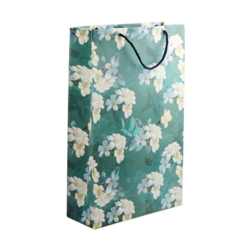 Picture of Gift bag Colors Size 28*44.5cm