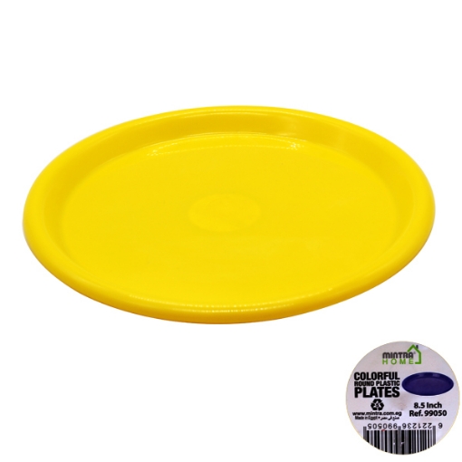 Picture of Large Plastic Serving Platter - Mintra.