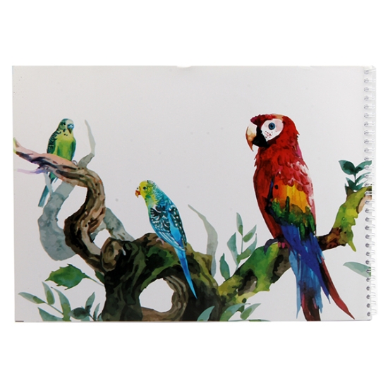 Image de كراسة رسم اكسترا لاين سلك 32 ورقة مقاس 25 * 35 سم
