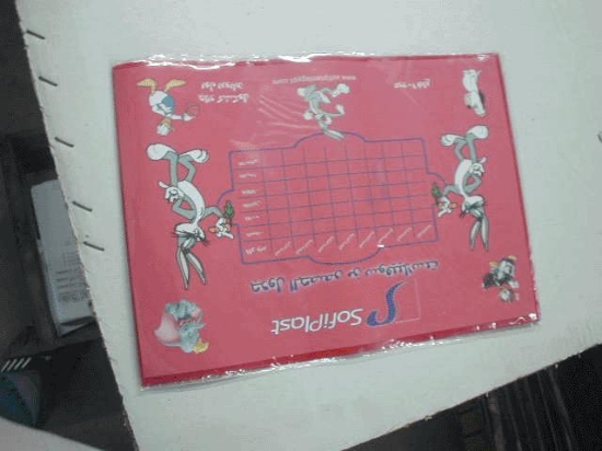 Bild von Schwere Buchumschläge klein Sofi Plast