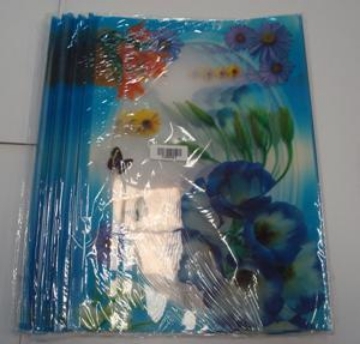 Show details for Printed File Protector A4  Picture of Printed File Protector A4