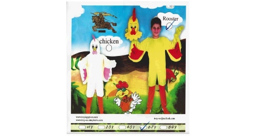 Picture of Chicken Costume for Kids Size 4-5 Years