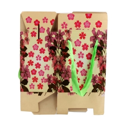 Picture of Cardboard gift bag medium, size 21 x 25 cm