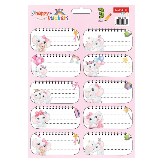 图片 女孩用学校票 不同形状 10片 3种颜色 - Tanex TSL-836