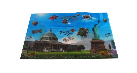 Bild von Floosecap Kapselordner Verschiedene Formen - YH-301