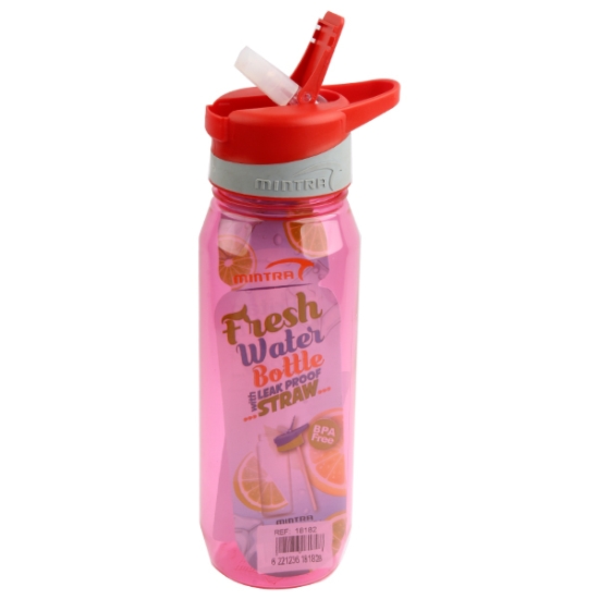 Image de Gourde colorée avec capuchon à paille 800 ml