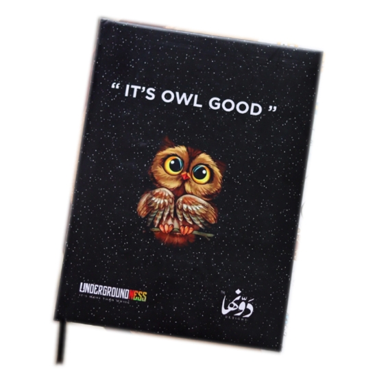 Image de نوتة كعب هارد كفر (Its owl Good) (16 * 12) سم دوّنها