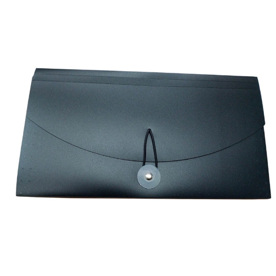 Bild von Checkgeldbörse 12 Fächer Transparentes Band Midgo Modell 2012