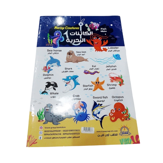 Picture of بوستر الكائنات البحرية بحجم A3 موديل 63931