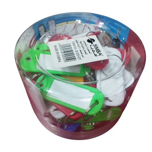 Picture of Plastic Keychain - Model B1005-50Y