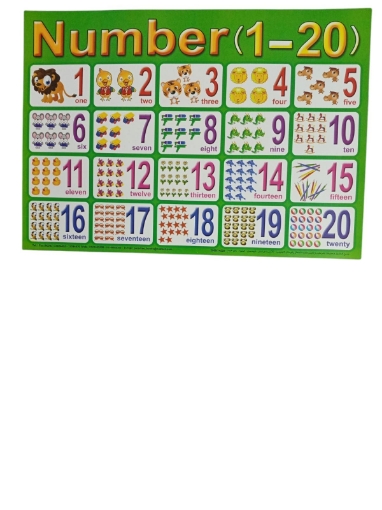 Bild von Paradise Lernposter Zahlen von 1 bis 20 Englisch 50 × 70 cm