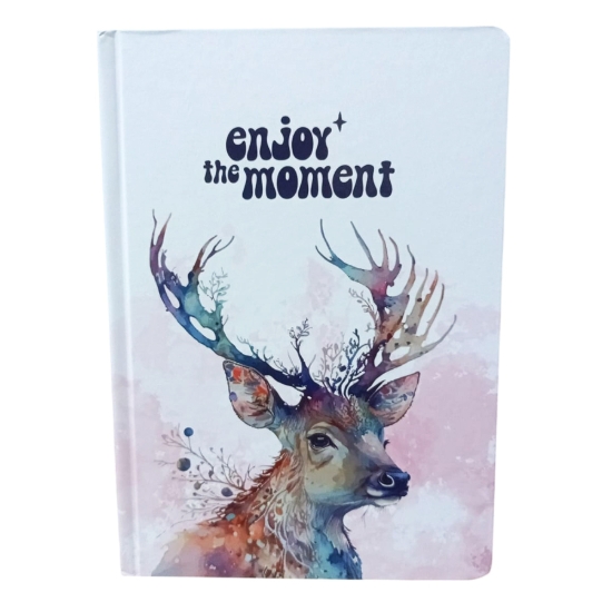 图片 塑料装订笔记本，96 页，A5 米色 – 4 色 BE