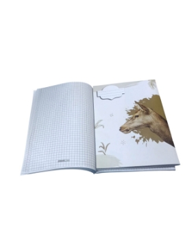 Agrandir l'image de Cahier scolaire Extra Line à carreaux 1/2 cm, 80 feuilles agrafé, motif biche, couverture couchée, format 16 × 22,5 Image de Cahier scolaire Extra Line à carreaux 1/2 cm, 80 feuilles agrafé, motif biche, couverture couchée, format 16 × 22,5