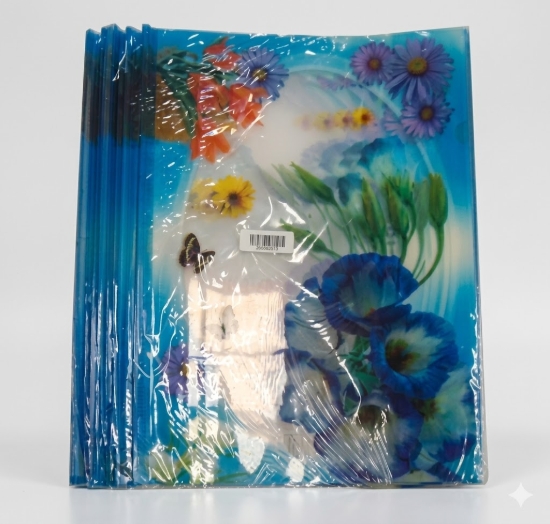 Image de Protecteur de fichiers imprimés A4