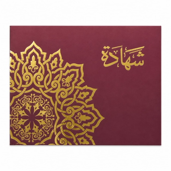Picture of حافظة شهادة تقدير سيمبا كرتون نبيتىA4 موديل 23900-2