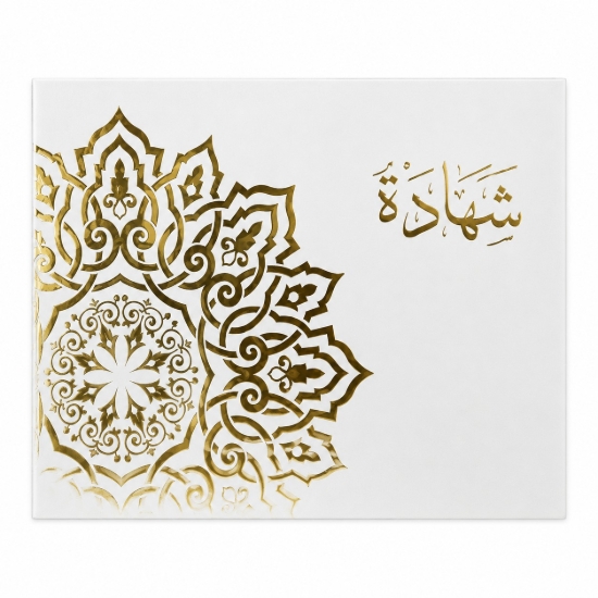 Picture of حافظة شهادة تقدير سيمبا كرتون اوف وايتA4 موديل 23900-2